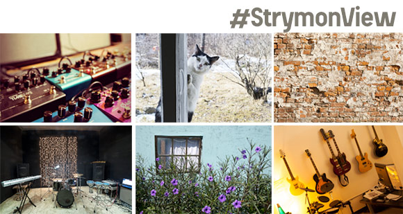 Strymon View contest
