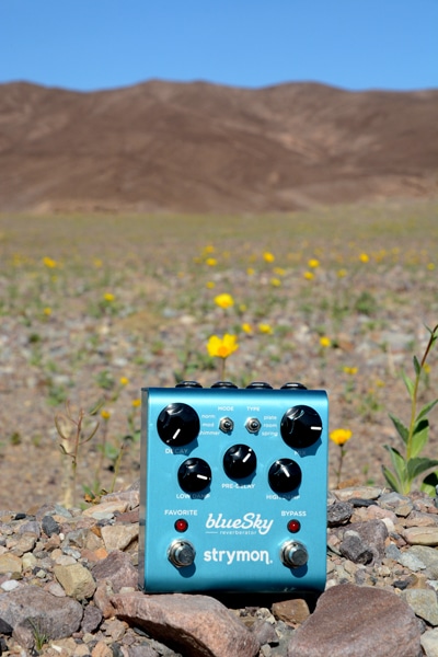 blueSky Reverb Death Valley Wildflowers