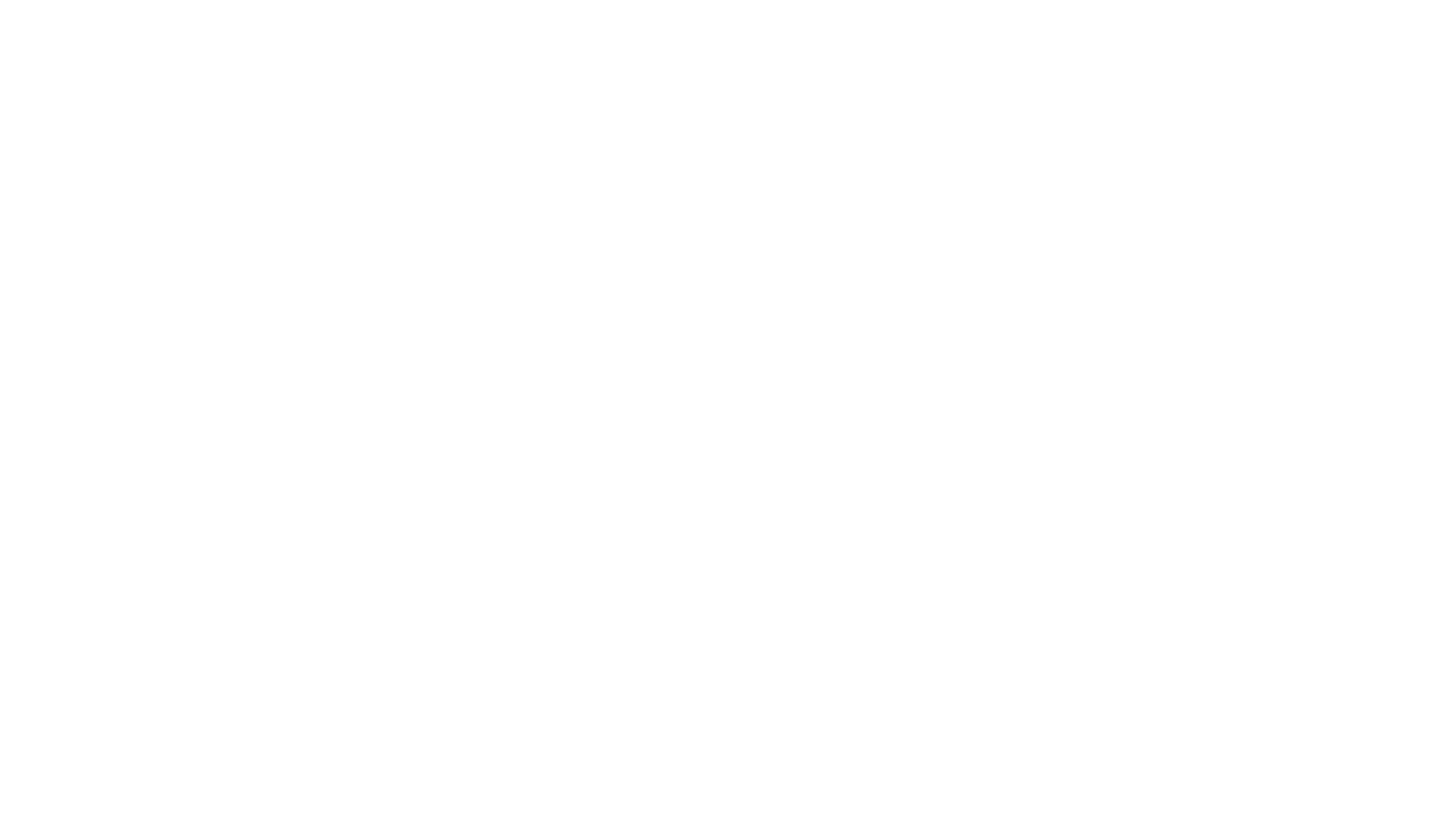 Flint Logo